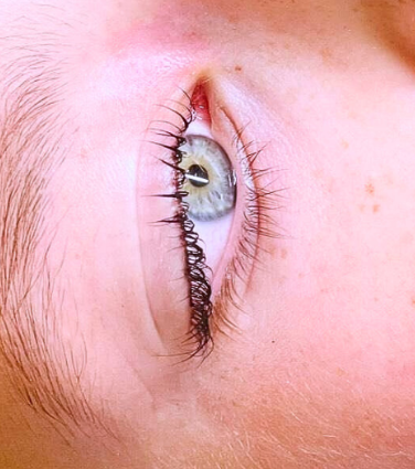 Lash Lift opleiding Leuven | 1 dag incl. starterkit